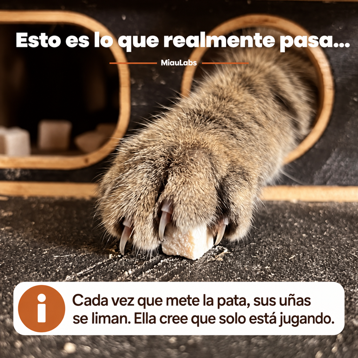 Rompecabezas Limauñas | Juega y Lima las uñas de tu gatito