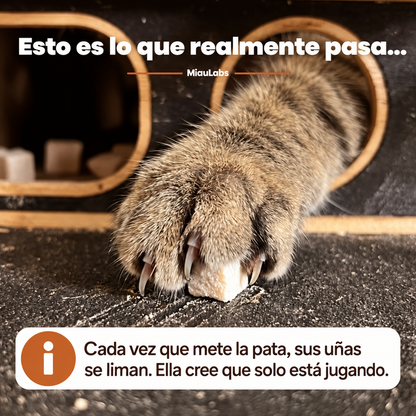 Rompecabezas Limauñas | Juega y Lima las uñas de tu gatito